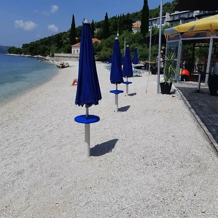 Ante * Seget Vranjica